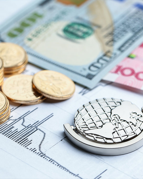 fidelity bank treasury and investment