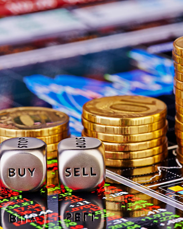 fidelity bank treasury and investment